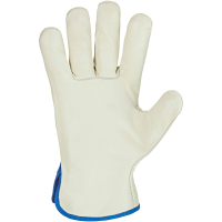 Vollleder Handschuhe AVUS - Stronghand&reg;