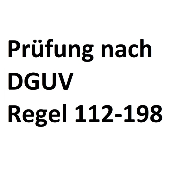 Prüfung Absturzsicherung nach DGUV Regel 112-198